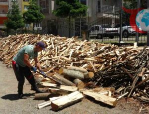 Trabzon’un Araklı ilçesinde Odun Kırarak 80 Bin TL Kazanan 49 Yaşındaki Paşa Yıldız
