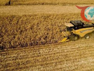 TÜİK Tarımsal Girdi Fiyat Endeksi Mart 2025 Verilerini Açıkladı!