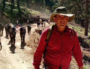 Yörüklerin Geleneksel Yayla Göçü