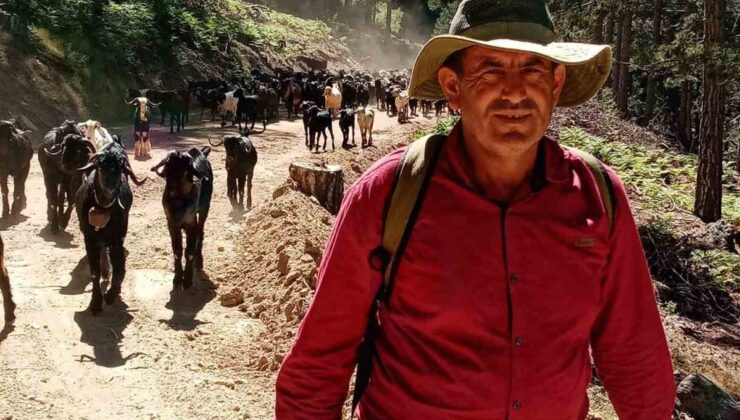 Yörüklerin Geleneksel Yayla Göçü