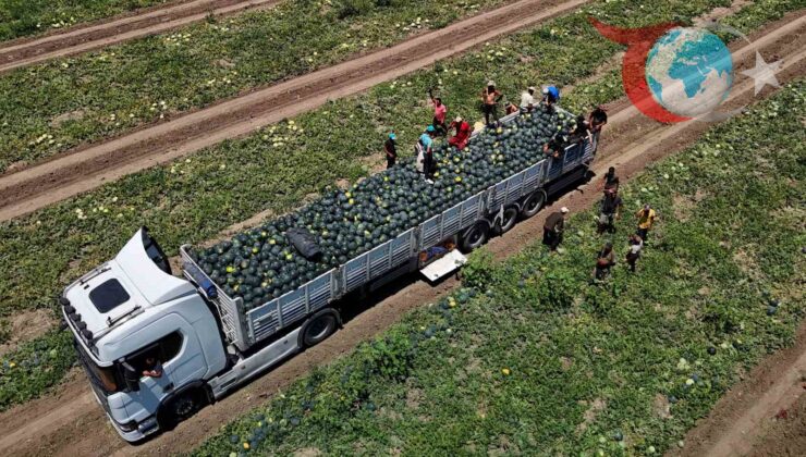Adana’da Karpuz Fiyatları Dibe Vurdu: Üretici Zor Durumda