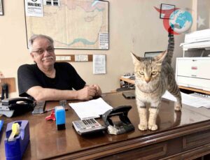 Anne Kedinin Ofiste Yavrularına Güvenli Bir Yuva Arayışı