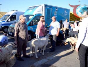 Bahçelievler’de Kurban Pazarı Yoğunluğu ve Hazırlıklar Devam Ediyor