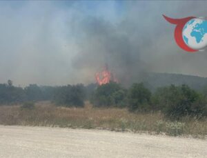 Balıkesir’de Orman Yangını: Gökçeler Mahallesi Alevlerle Mücadele Ediyor