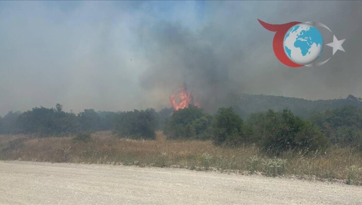 Balıkesir’de Orman Yangını: Gökçeler Mahallesi Alevlerle Mücadele Ediyor