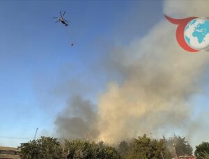 Bilecik Selimiye Köyü’nde Orman Yangınıyla Mücadele