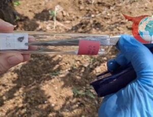 Bilecik’te Çevre Dostu Mücadele: Samuray Arıları ile Kahverengi Kokarca Avı Başladı