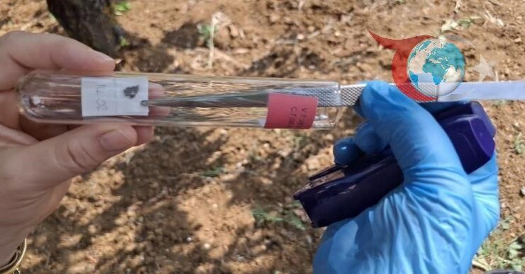 Bilecik’te Çevre Dostu Mücadele: Samuray Arıları ile Kahverengi Kokarca Avı Başladı