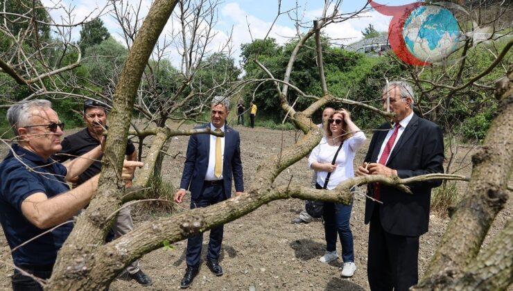 Bilecik’te Çiftçilere Don Zararı Eğitimi: Ceviz ve Kiraz Bahçeleri Korunacak