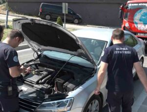 Bursa’da Trafiği Kilitleyen Yavru Kedi Operasyonu