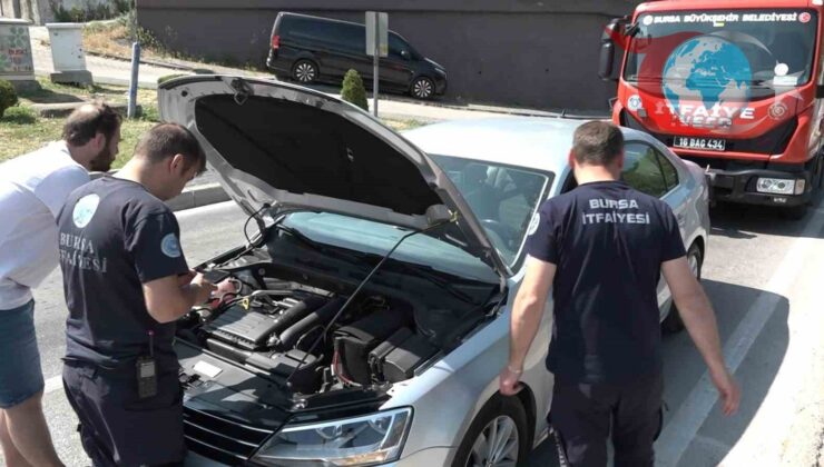Bursa’da Yavru Kedi, Trafikte Eğlenceli Anlar Yaşattı