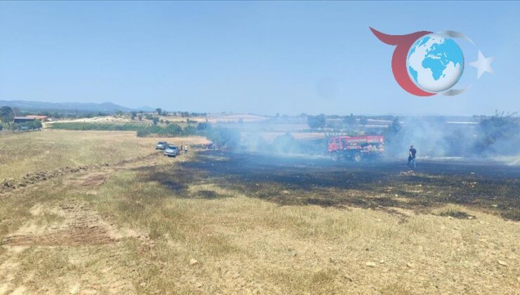 Çanakkale’de Korkutan Anız Yangını: Müdahale Çalışmaları Aralıksız Devam Ediyor