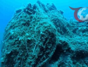 ÇanakkaleProje: Deniz Ekosistemini Koruma ve Sürdürülebilir Balıkçılıkta Yeni Adımlar