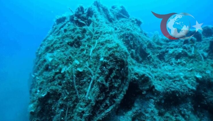 ÇanakkaleProje: Deniz Ekosistemini Koruma ve Sürdürülebilir Balıkçılıkta Yeni Adımlar