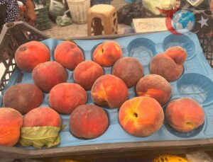 Denizli’de Meyve Fiyatları Neden Yükseldi?