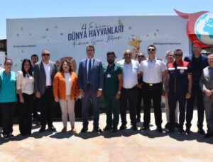 Didim’de Sokak Hayvanları İçin Örnek Rehabilitasyon Çalışmaları