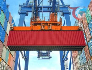 Düzce’den Orman Ürünleri İhracatında Büyük Atılım