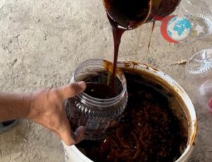 Erzurum’da Geleneksel Dut Pekmezi ve Pestil Üretimi