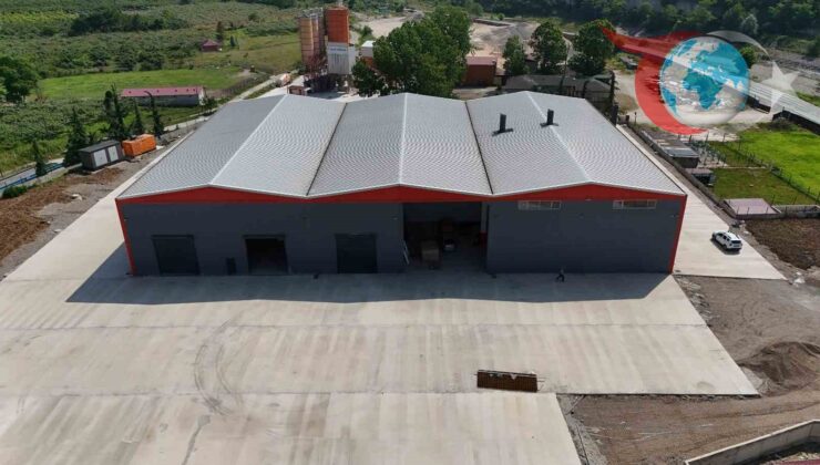 Fındık Kabuğundan Aktif Karbon Üretimi: Ordu’dan Dünyaya Bir İlk