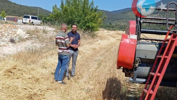 Gölpazarı’nda Hasat Dönemi: Tarım Ekipleri Sahada Teyakkuzda