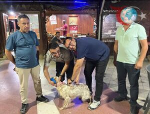 Havran’da Kuduz Aşısı Kampanyasına Yoğun İlgi