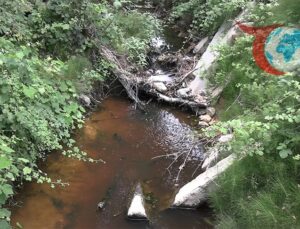 İstanbul’da Çevre Kirliliği Alarmı: Karakiraz Mahallesi’nde Tepkiler Büyüyor