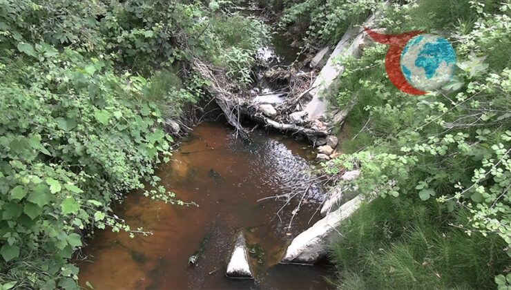 İstanbul’da Çevre Kirliliği Alarmı: Karakiraz Mahallesi’nde Tepkiler Büyüyor