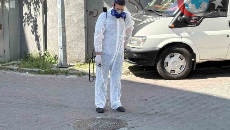 Kağıthane’de Haşereyle Mücadele Seferberliği Başladı