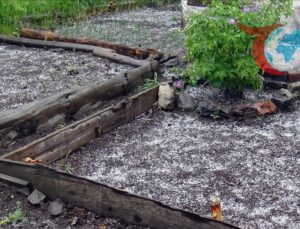 Kars ve Çevresinde Şiddetli Dolu Yağışı: Meyve Ağaçları ve Yollar Zarar Gördü