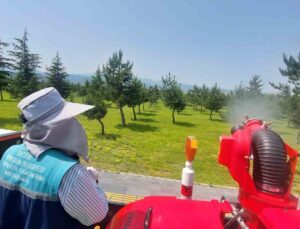 Kayseri’de Yeşil Alanlarda Zararlılara Karşı Etkin Mücadele Başladı