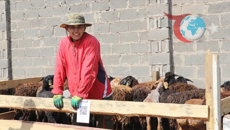 Kazakistan’da Kurban Bayramı Coşkusu: Astana’daki Yoğun Pazarlar