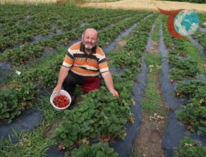 Kazım Yüksel’in Doğal Yaşam ve Üretim Hikayesi: Tavuk ve Çilek Bahçesi