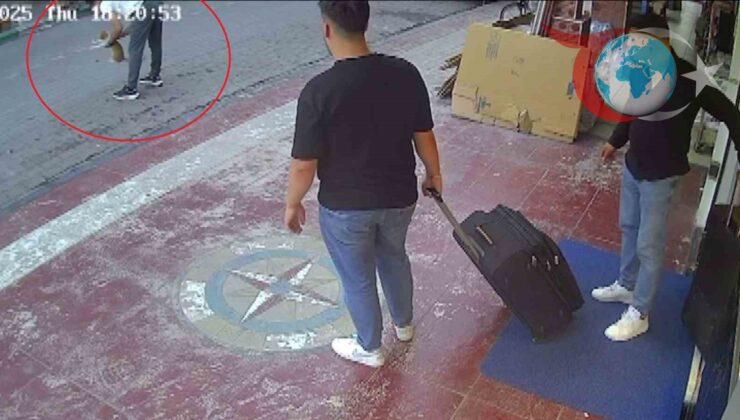 Kedinin Hayatını Kurtaran Cesur Hareket: Heimlich Manevrası