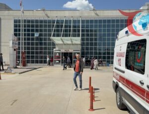 Kene Teması: Yaz Aylarında Artan Tehlikeye Karşı Uyarılar