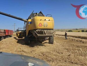 Keşan’da Buğday Hasadında Denetimler Hız Kazanıyor