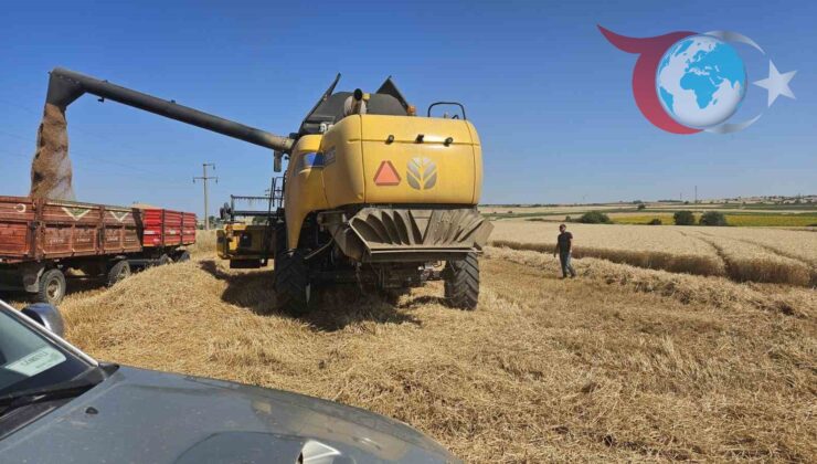 Keşan’da Buğday Hasadında Denetimler Hız Kazanıyor