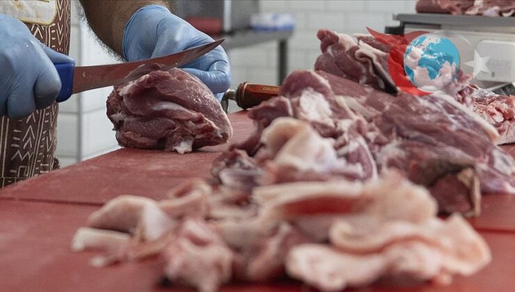 Kurban Kesiminde Hijyen ve Saklama Koşulları: Sağlık İçin Nelere Dikkat Edilmeli?