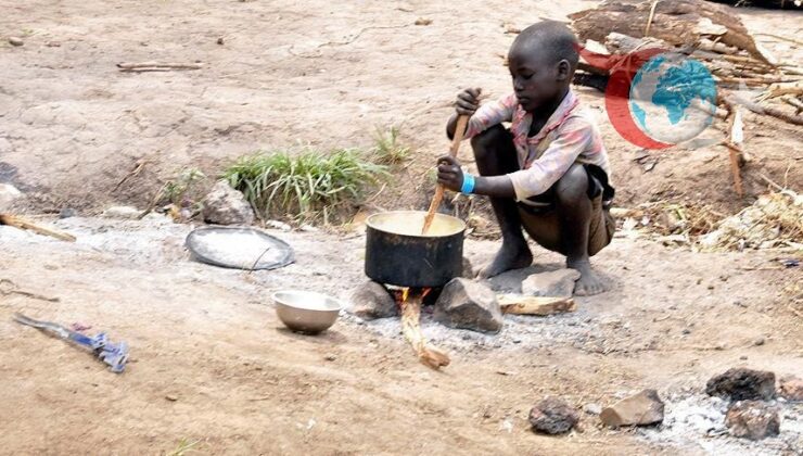 Küresel Gıda Güvenliği: Zorluklar ve Çözümler