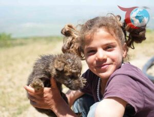 Kurt Yavrularına İkinci Şans: Minik Kardeşlerin Büyük Mücadelesi