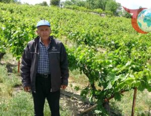 Malatya Arapgir’de Zirai Don: Üreticiler Yaprak Satışıyla Umut Arıyor