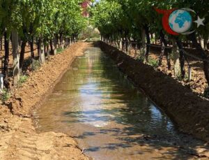 Manisa’da Üzüm Bağlarında Sulama Mesaisi Başladı