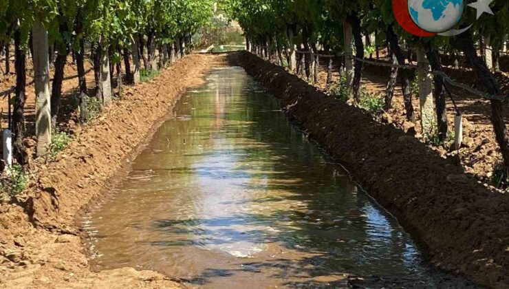 Manisa’da Üzüm Bağlarında Sulama Mesaisi Başladı
