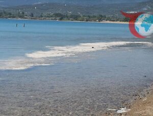 Marmara ve Karadeniz’deki Müsilaj Sorunu: Çözümler ve Zorluklar