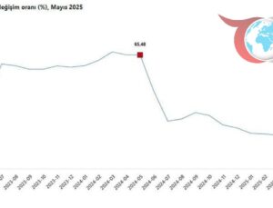 Mayıs 2025 Yurt Dışı Üretici Fiyat Endeksi Verileri Açıklandı