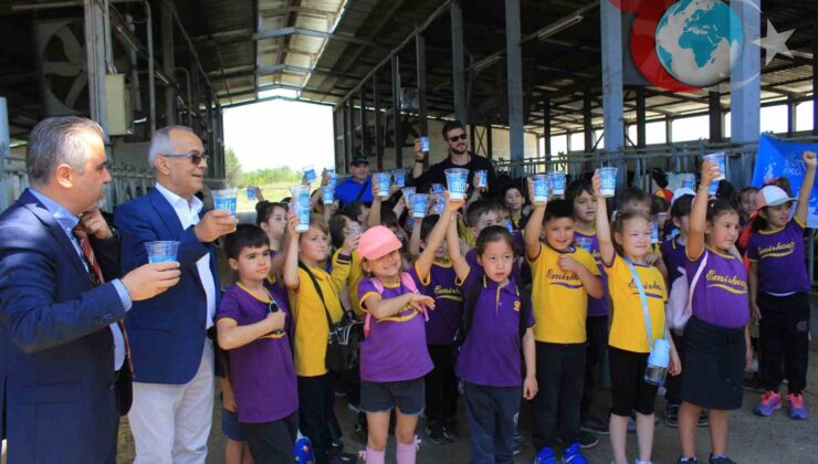Minikler inekler arasında süt içerek Süt Günü’nü kutladı