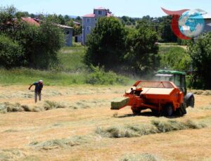Ordu’da Tarımda Yeni Dönem: Makine Kullanımıyla Verimlilik Artıyor
