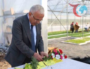 Ordu’da Yeşilin Ekonomik Zaferi: Belediyeden Kendi Üretimiyle Peyzaj Hamlesi