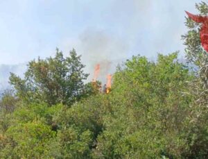 Orhangazi’de Tarlada Çıkan Yangına Hızlı Müdahale