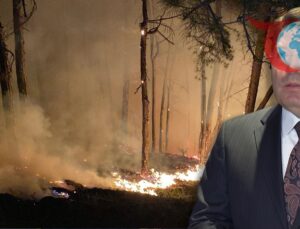 Orman Yangınları Sonrası Gözaltılar: 17 Şüpheli Yakalandı