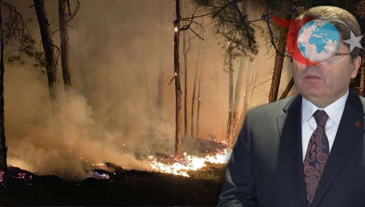 Orman Yangınları Sonrası Gözaltılar: 17 Şüpheli Yakalandı